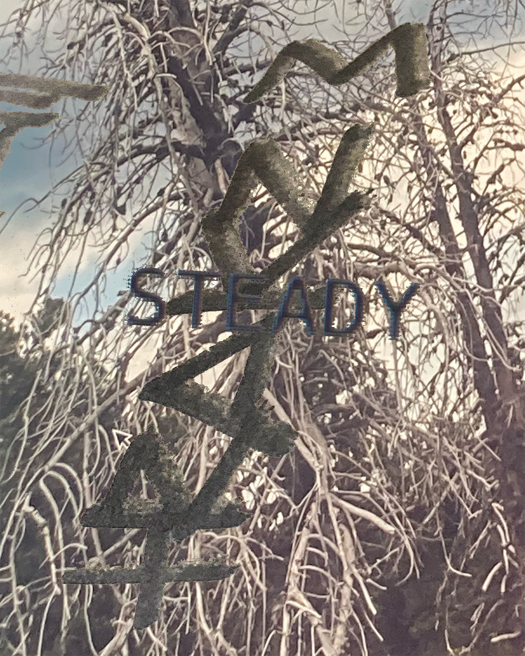TRAKZ III, STEADY