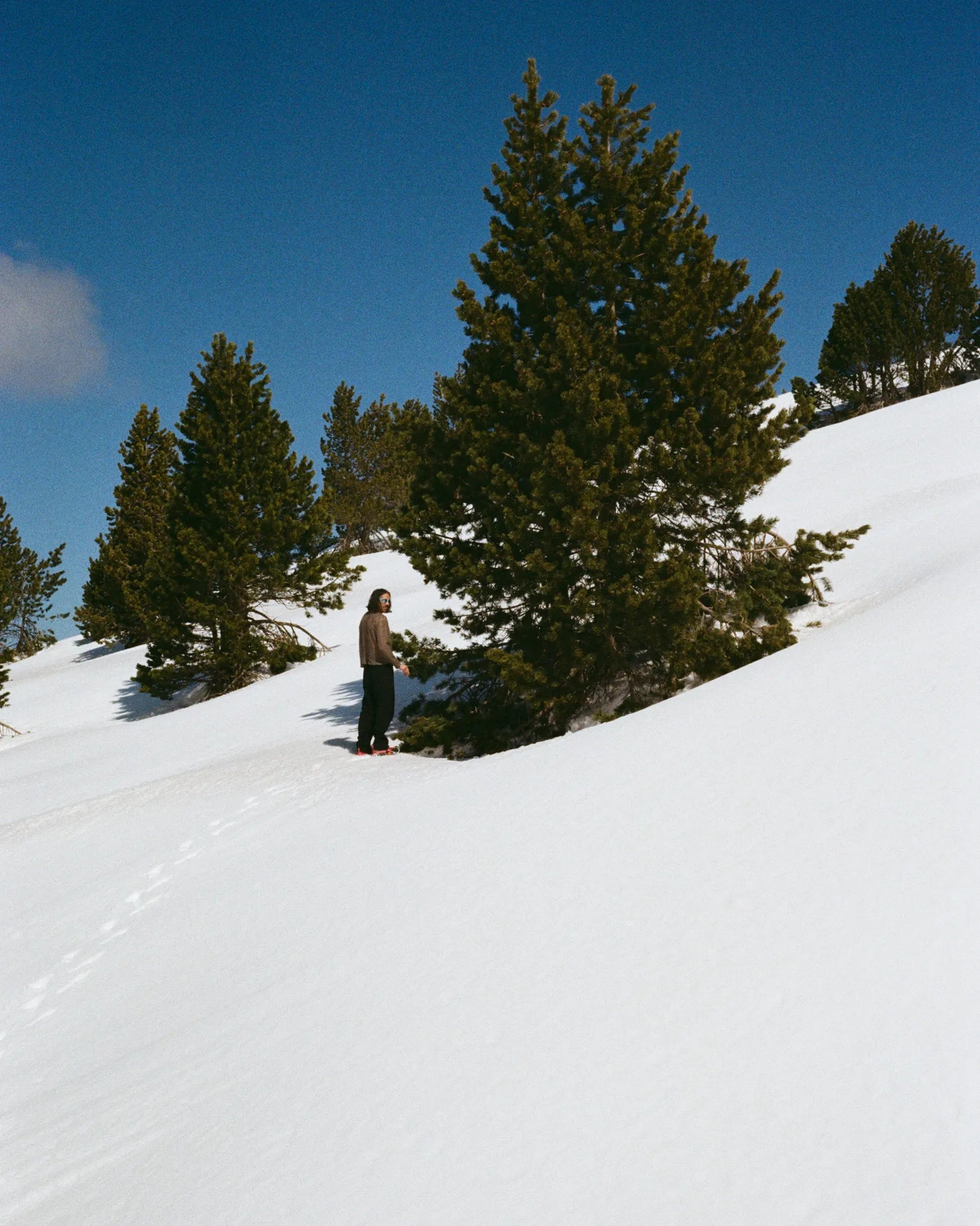 Person standing on a snow-covered slope with trees in the background