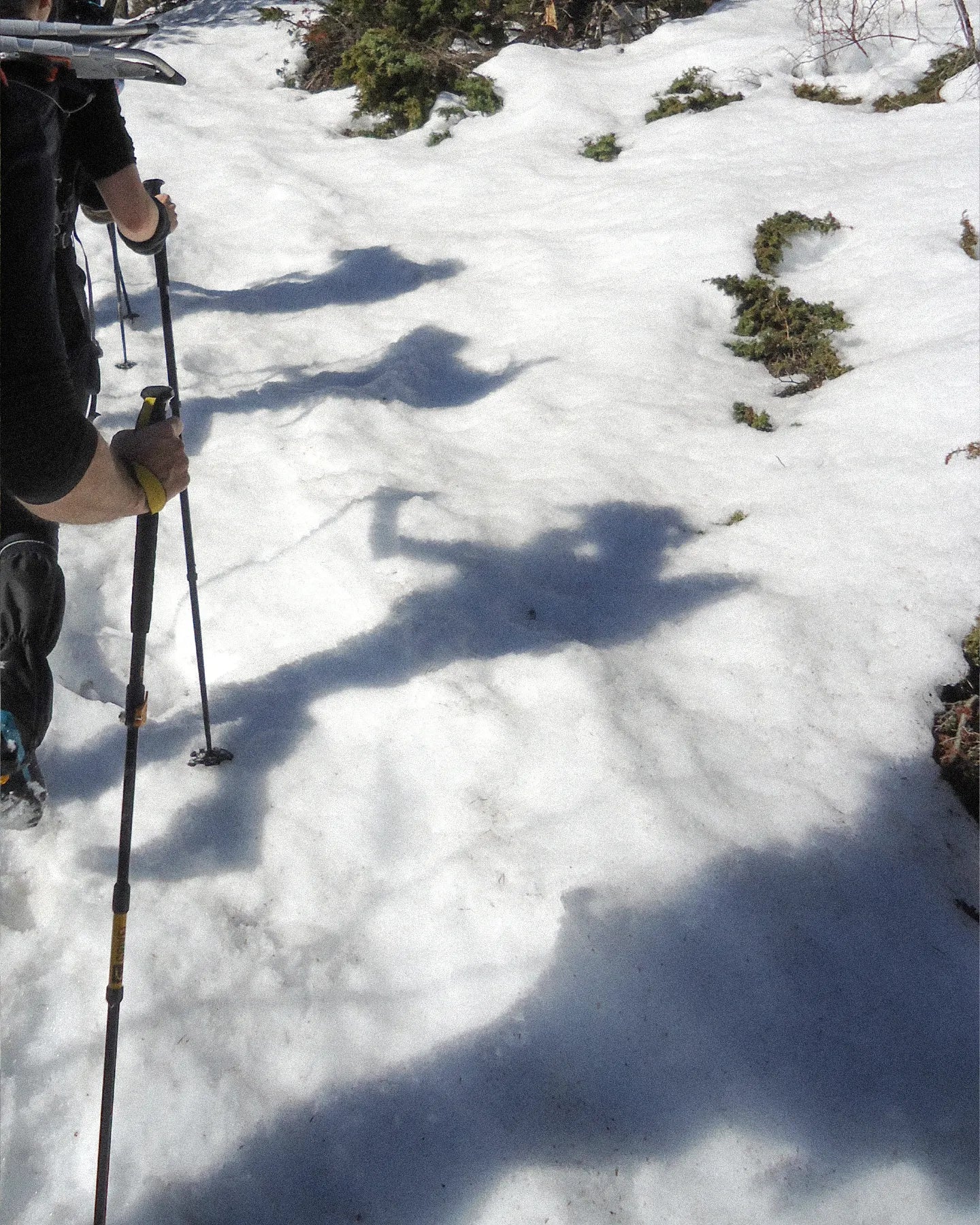 Person skiing with ski poles on a snowy slope