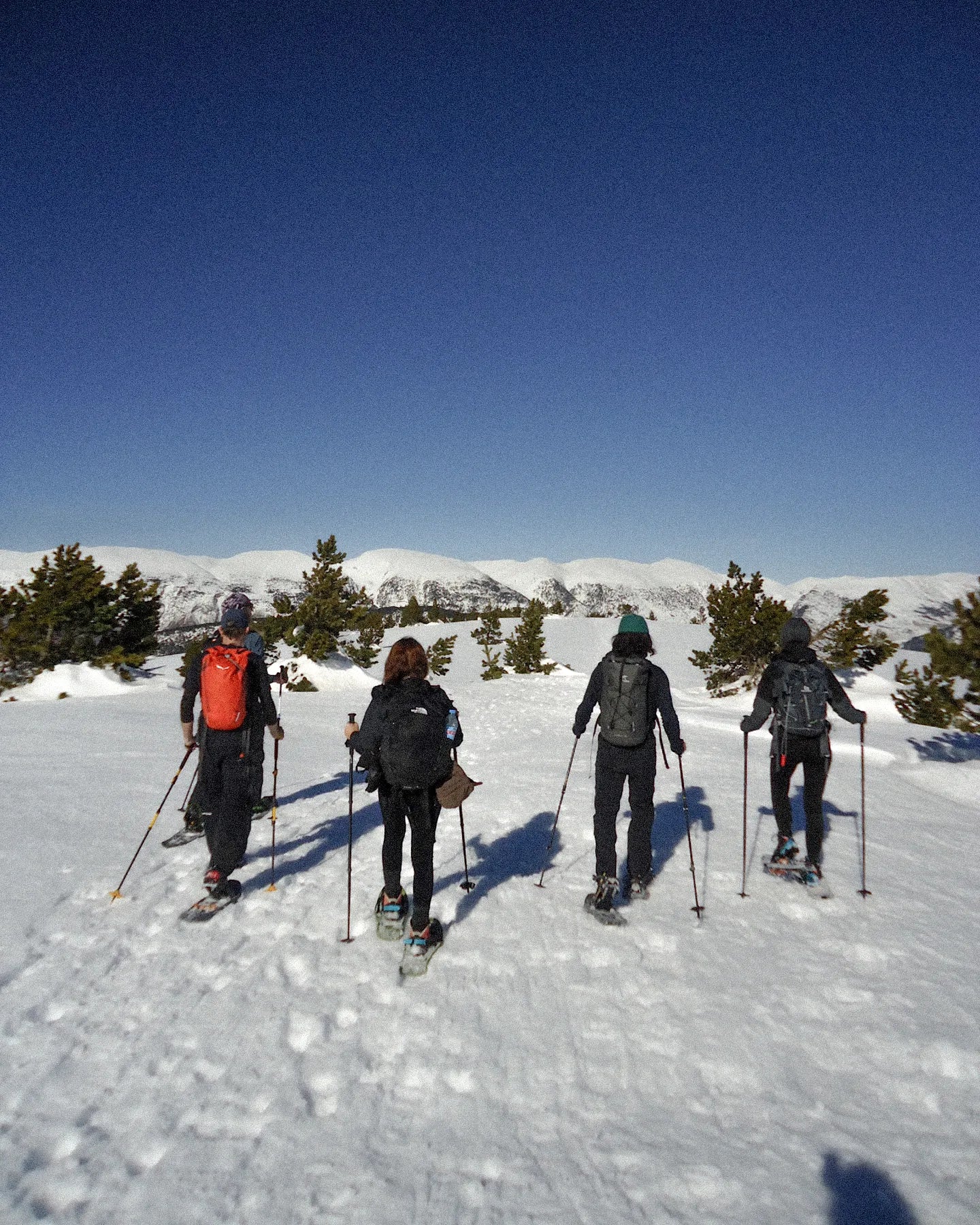 Four people cross-country skiing on a snowy landscape with a clear blue sky.