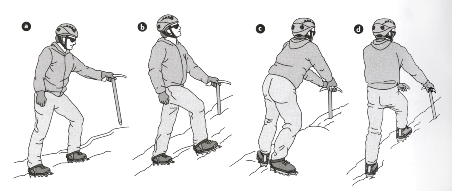 Illustrations of a person using ski poles in different positions on a snowy surface.