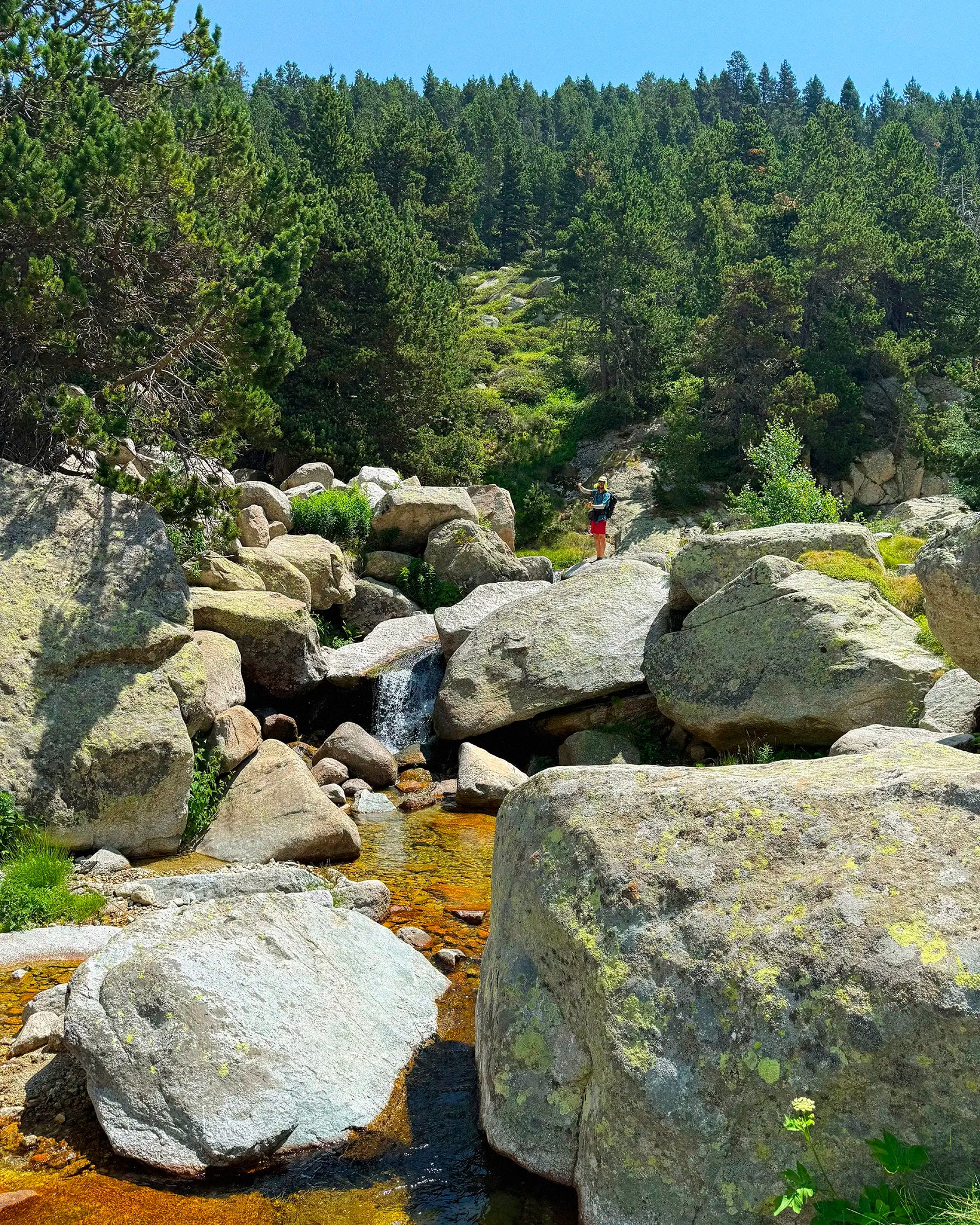 A scenic outdoor landscape with large gray boulders, a small stream, dense evergreen trees, and a person hiking in the background under a blue sky.