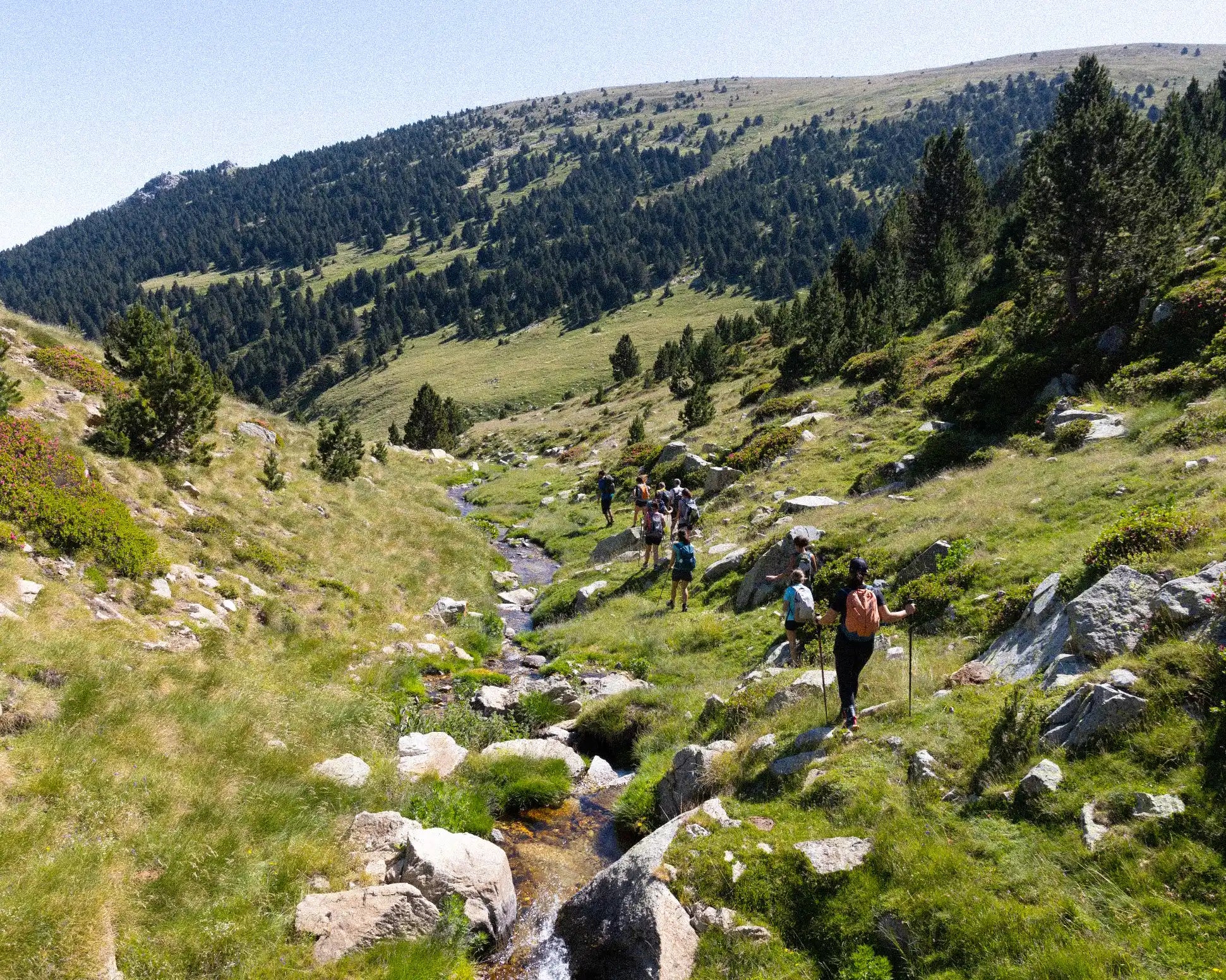 Hikers on a mountain trail with greenery and rocks