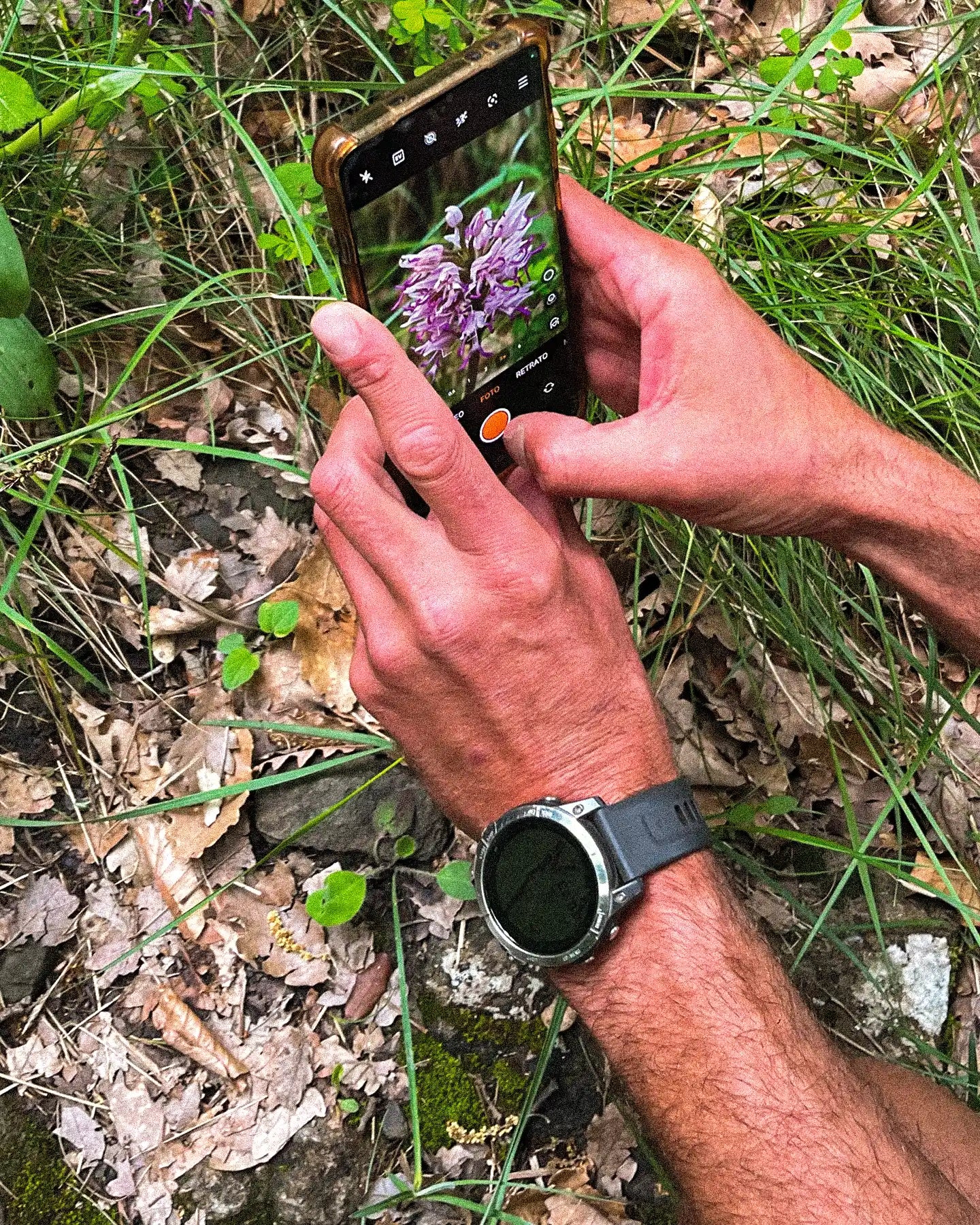 Person taking a photo of a purple flower with a smartphone in a natural setting.