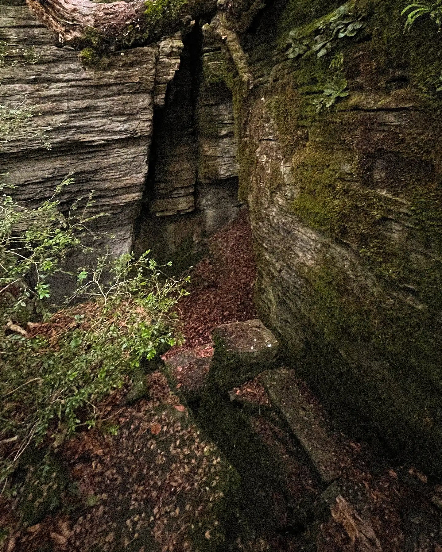Narrow crevice between two rock formations with moss and leaves