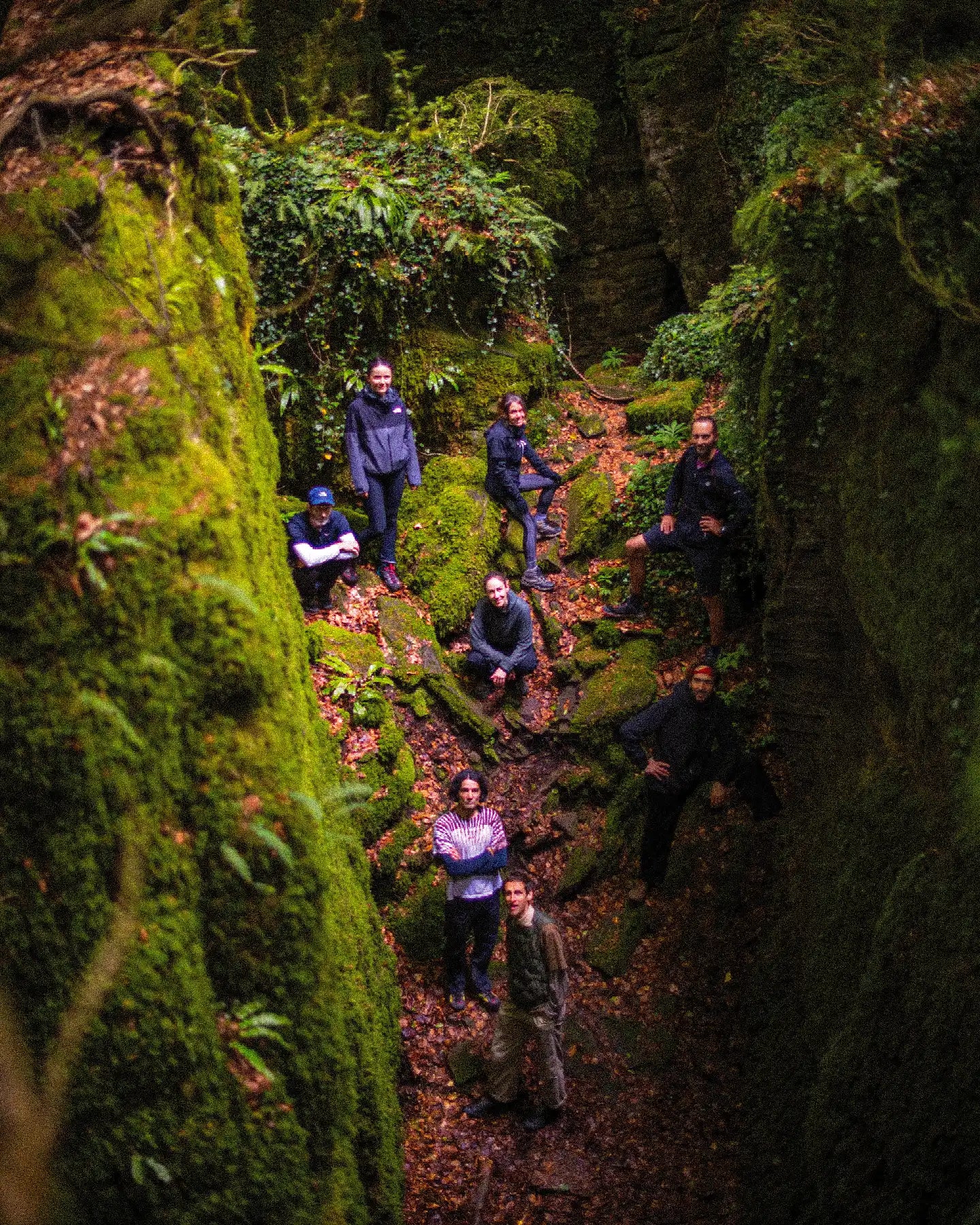 Group of people exploring a lush, moss-covered forest path.