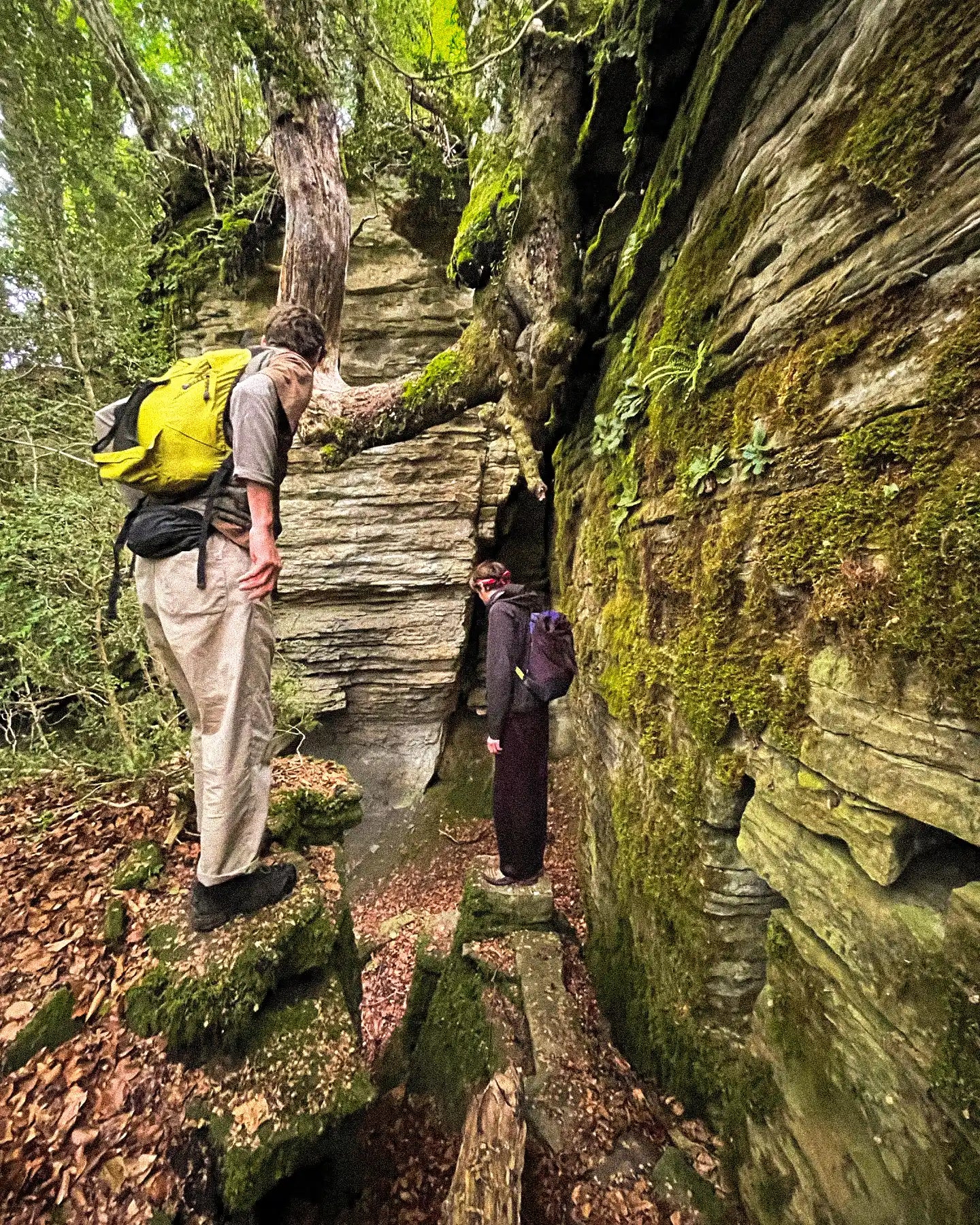 Two hikers exploring a narrow, moss-covered pathway in a forest.