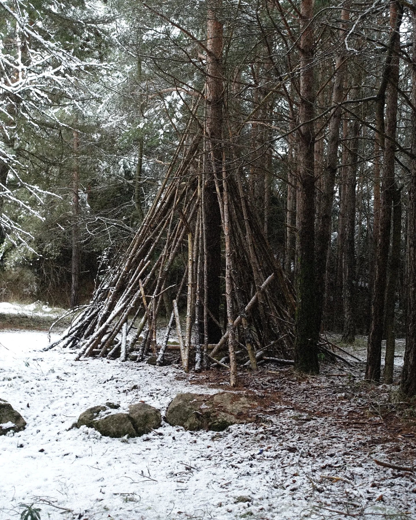 Wooden teepee structure in a snowy forest setting