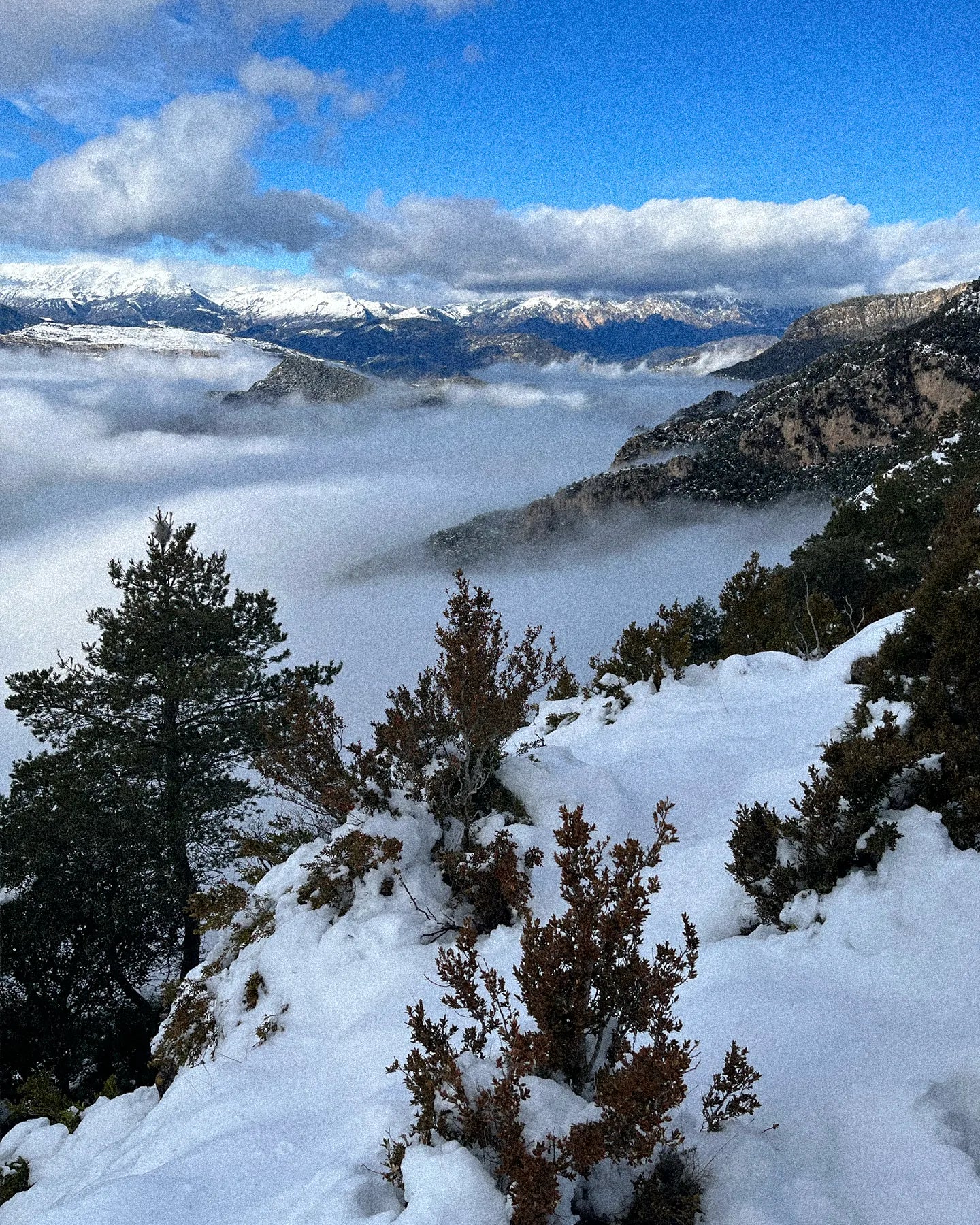 Snow-covered mountains with trees and clouds in the valley