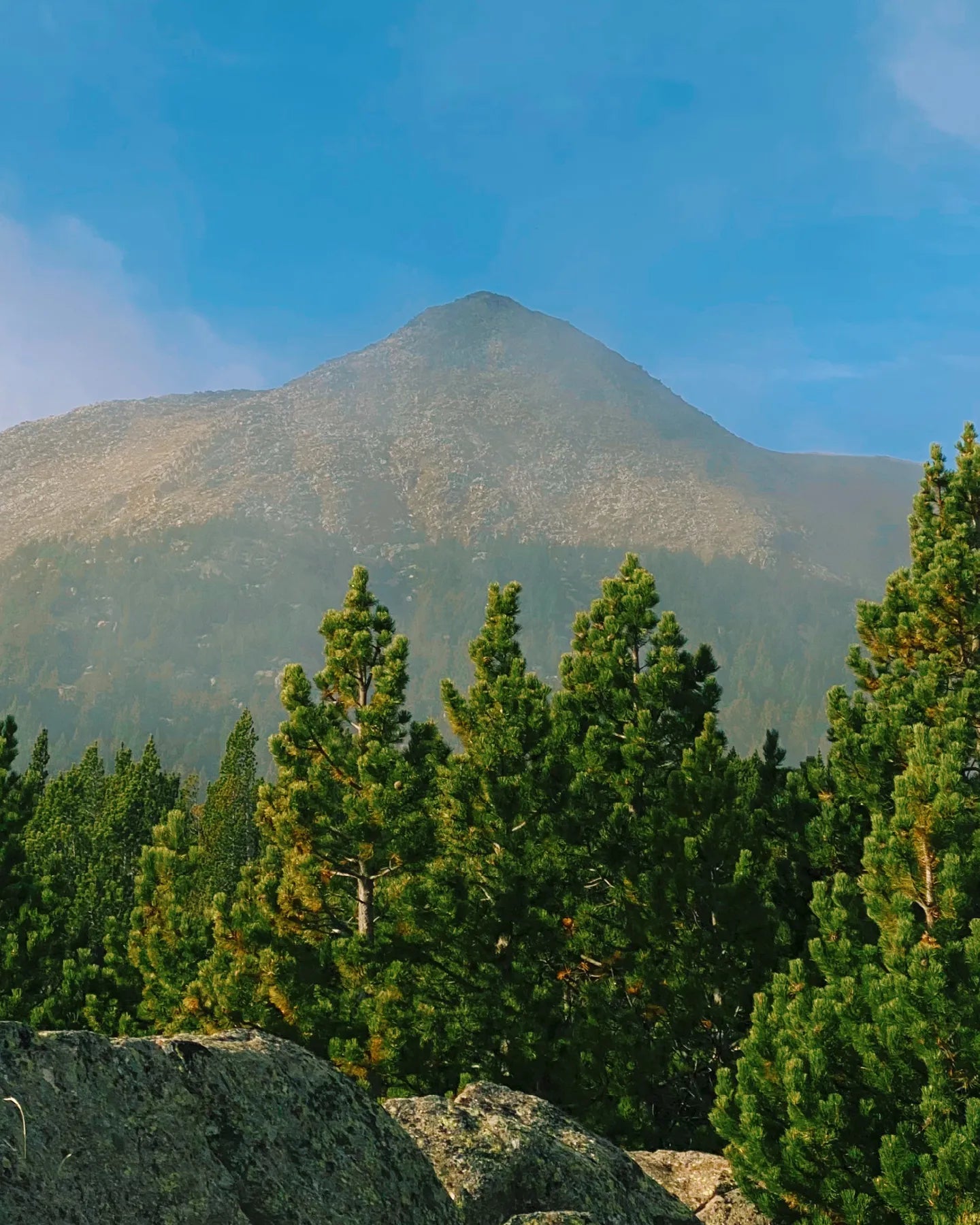 Mountain peak with trees in the foreground under a clear blue sky